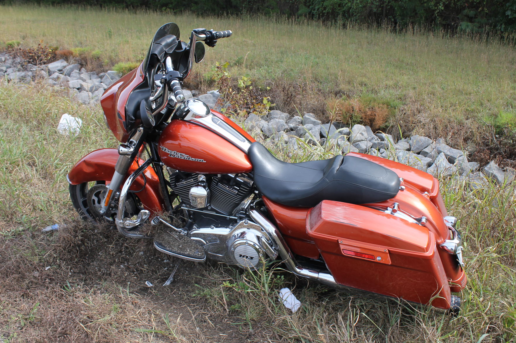 Harley-Davidson second deer crash pic